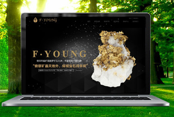 �㽭�������ﱦʯ